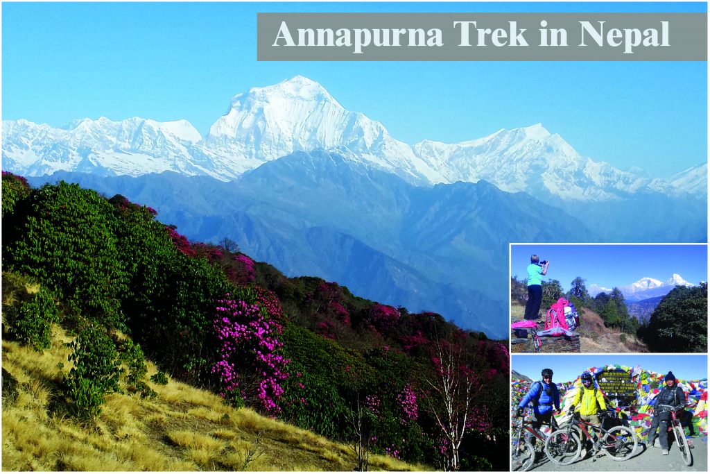 Annapurna trek 